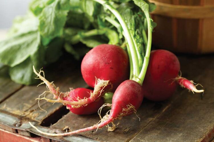 Spring Foods: Fruits, Vegetables and Herbs in Season Right Now
